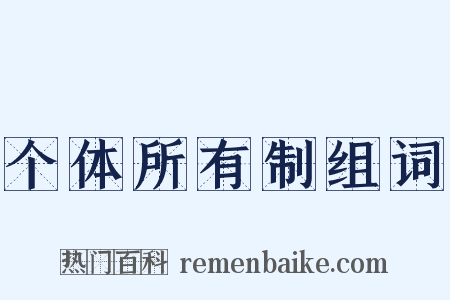 个体所有制组词是什么意思的图片